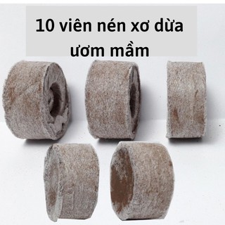 10 viên nén xơ dừa - Viên nén ươm hạt