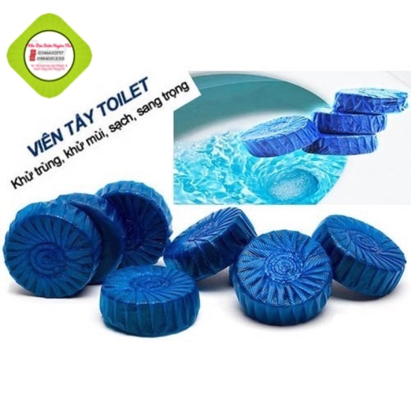 COMBO 10 VIÊN THẢ BỒN CẦU KHỬ TRÙNG TOILET