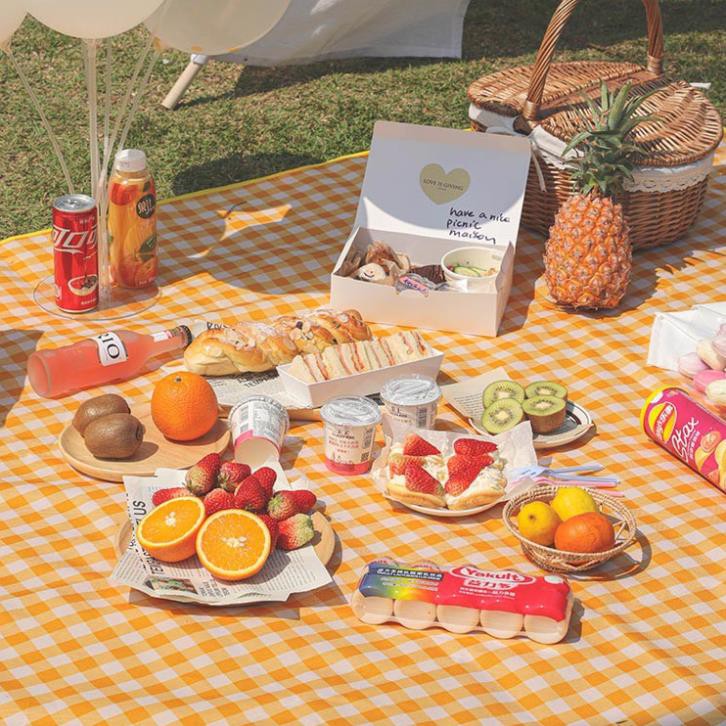 THẢM DÃ NGOẠI,  THẢM DU LỊCH, THẢM PICNIC CAO CẤP - Chống thấm nước, họa tiết caro, gấp gọn tiện lợi - 2 kích thước | BigBuy360 - bigbuy360.vn