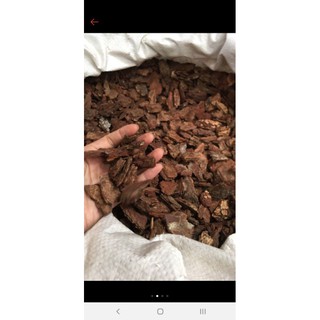 2kg vo thông đã qua sử lý dùng để trồng nhiều loại cây