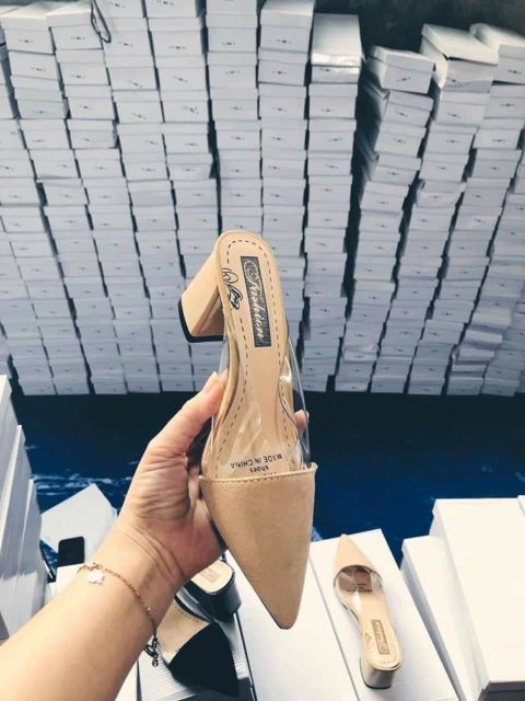 Sục trong pha mũi