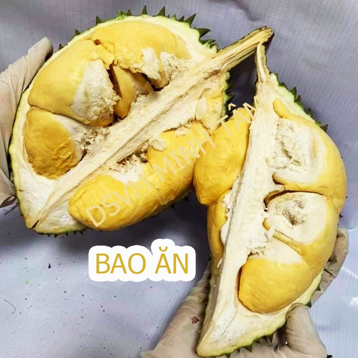 Cơm Sầu riêng ri6 loại 1 ăn liền thơm ngon bổ dưỡng loại 1kg Bao Ăn Từng Múi [CHỈ GIAO TPHCM]