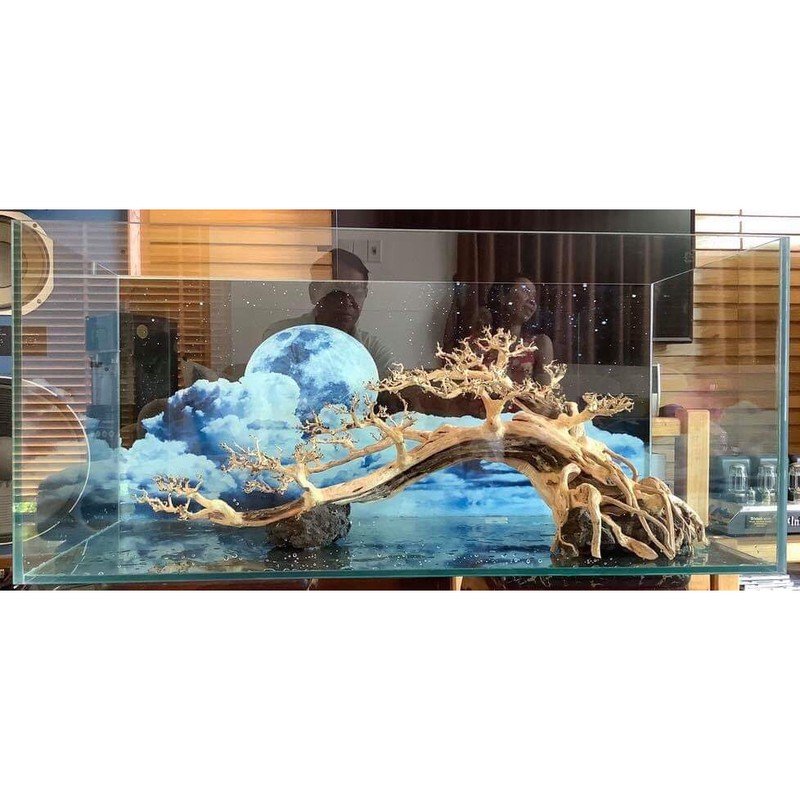 Tranh 3D hồ cá ( tấm lưng)