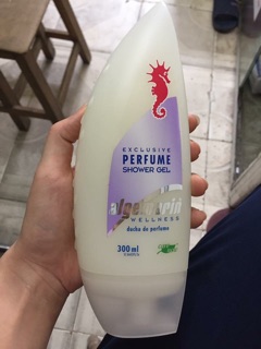 Sữa tắm cá ngựa