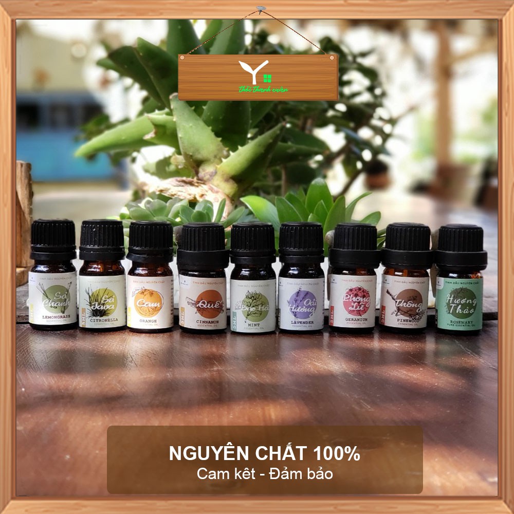Tinh dầu THIÊN NHIÊN Youth Home 5ML, Tinh dầu NGUYÊN CHẤT 100% | BigBuy360 - bigbuy360.vn