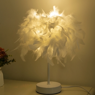 Table lamp / Night light with lovely feathers, 220V, ON / OFF