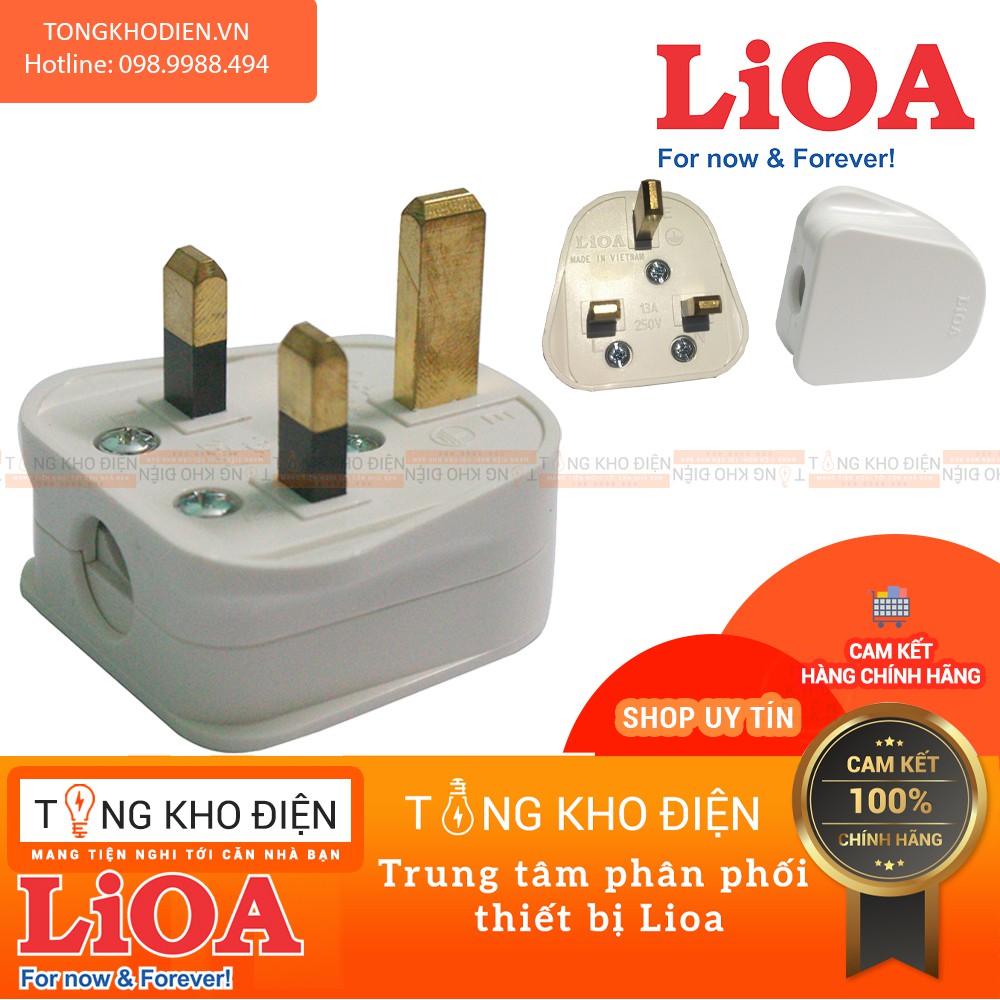 Phích cắm tiêu chuẩn châu Âu Φ5, có cực nối đất LIOA