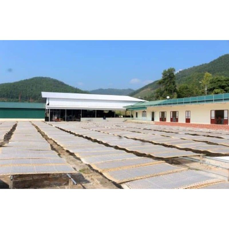 Miến dong Bình Liêu - sản phẩm OCOP Quảng Ninh gói 200 gam