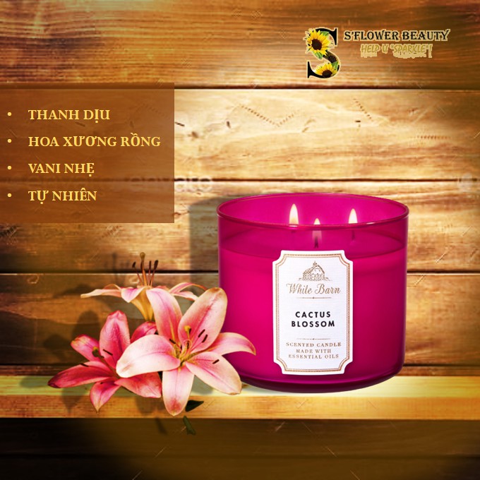 BST Vintage White Barn |  Nến Thơm 3 Tim Chiết Xuất Tinh Dầu Thiên Nhiên Bath &amp; Body Works Scented Candle (411g)