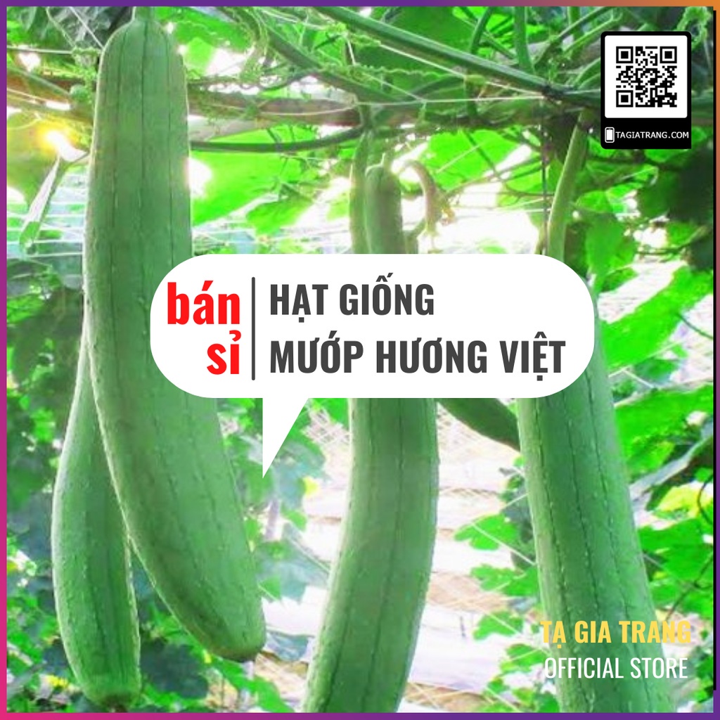 [Bán sỉ] - Hạt giống mướp hương Việt Nam siêu thơm