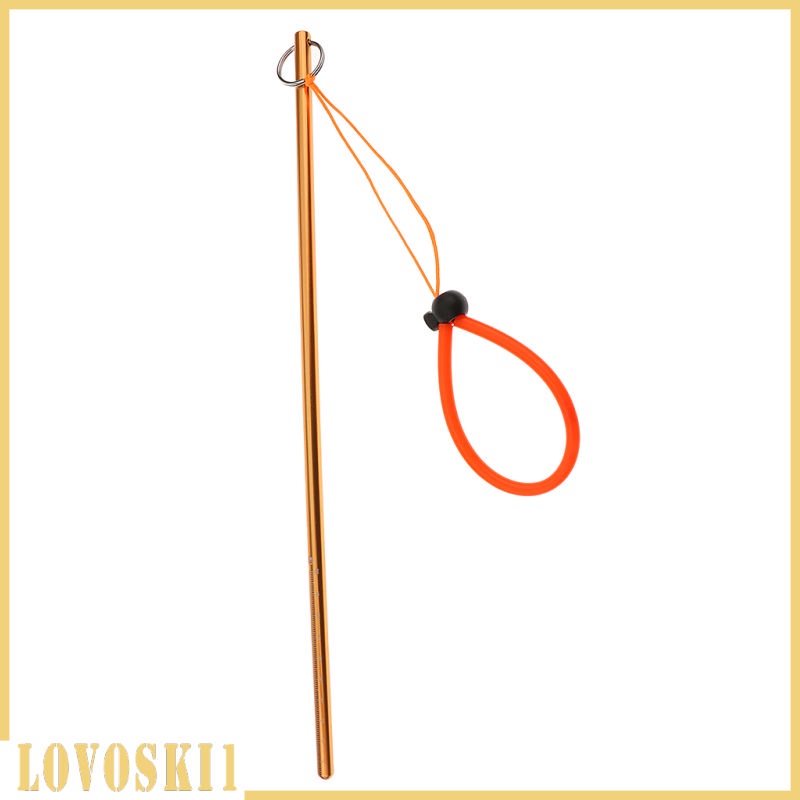 Gậy chỉ bằng hợp kim nhôm siêu nhẹ có dây đeo cổ tay 34cm/ 13.4" | BigBuy360 - bigbuy360.vn