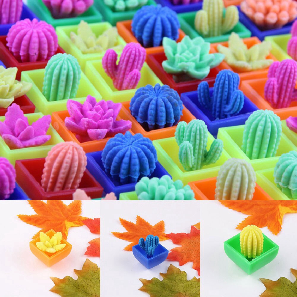 Đồ chơi xương rồng ngâm nước 48 mẫu đáng yêu