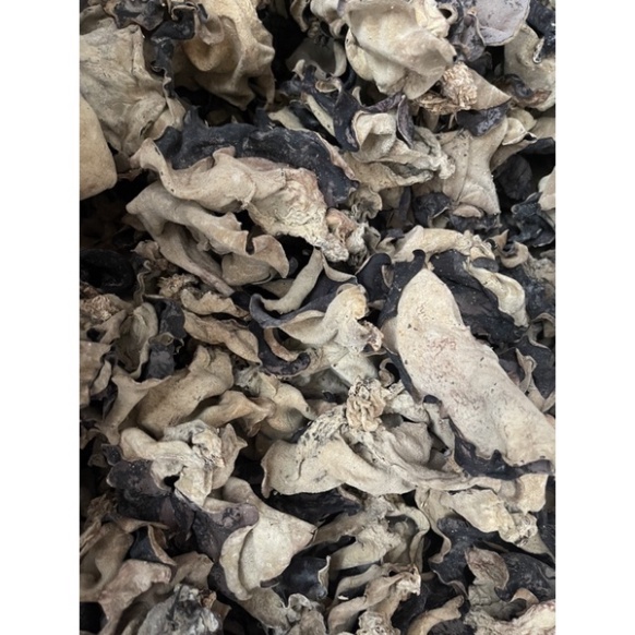 Nấm mèo khô tai lớn [túi 100g]