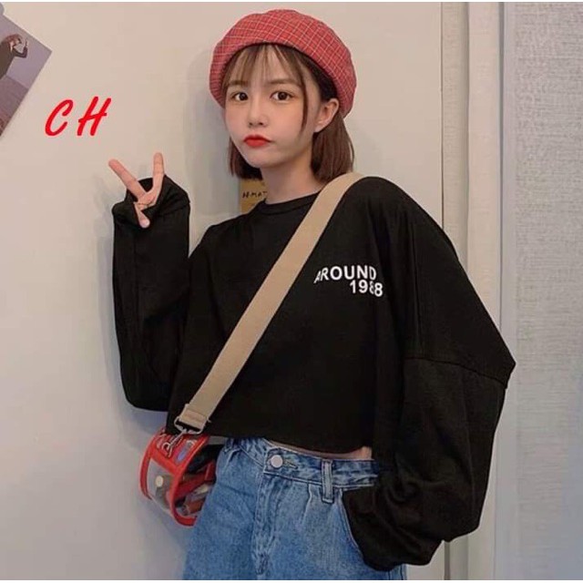[FREESHIP ĐƠN TỪ 50K] Áo croptop AROUM 1988 dài tay COH0919