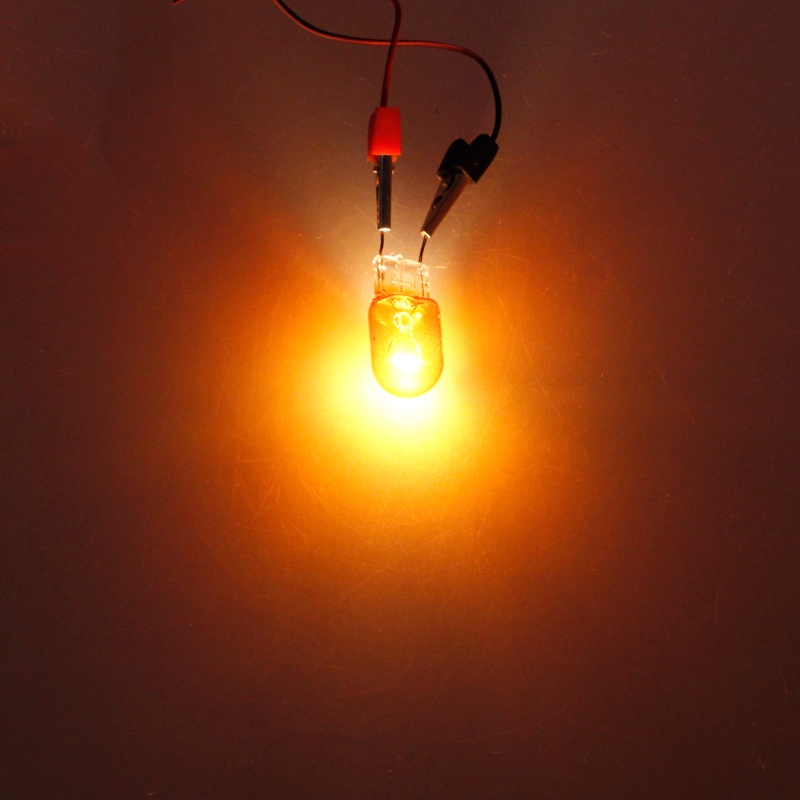 Bóng Đèn Halogen Trong Suốt T20 3156 Dùng Để Trang Trí Phanh Xe Hơi