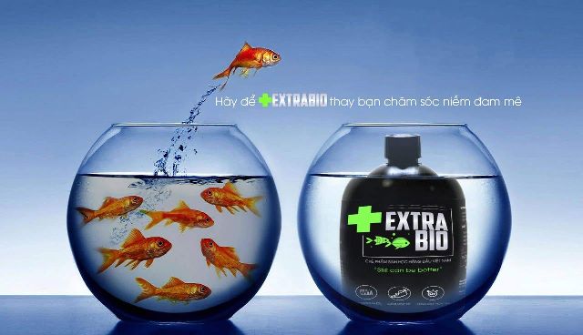 Nước tạo vi sinh Làm Trong Nước Hồ Cá EXTRA BIO 250ml