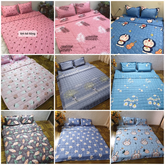 Trọn bộ 5 món chăn ga gối hè trần bông 3 lớp cotton poly | BigBuy360 - bigbuy360.vn