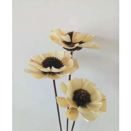 HOA KHÔ CÚC CÁNH VUÔNG TRANG TRANG TRÍ