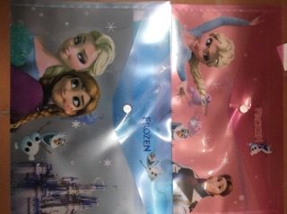 Túi clear bag hình