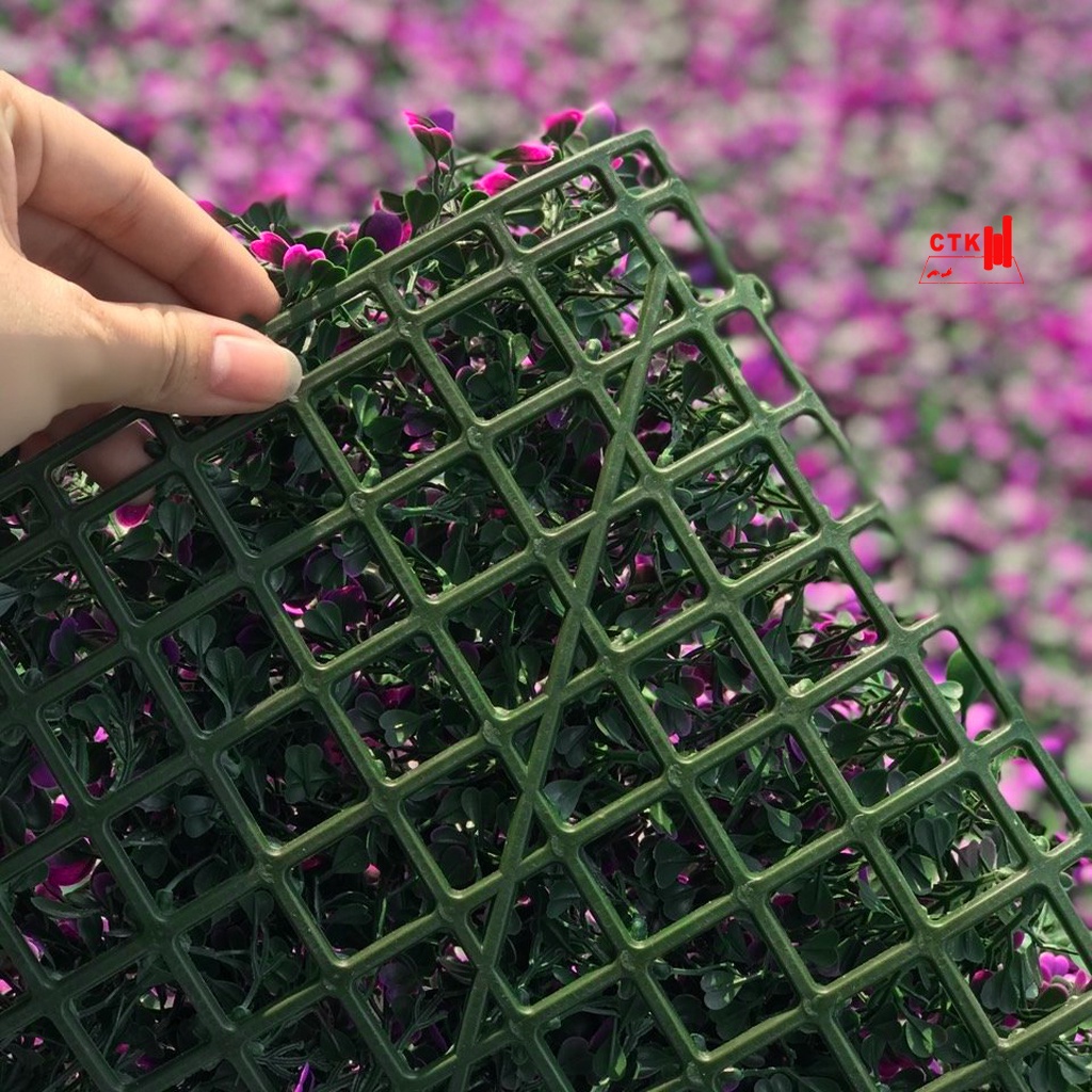 Thảm cỏ treo tường, cỏ nhựa nhân tạo trang trí ban công cải xoong tím (50 cm x 50 cm)
