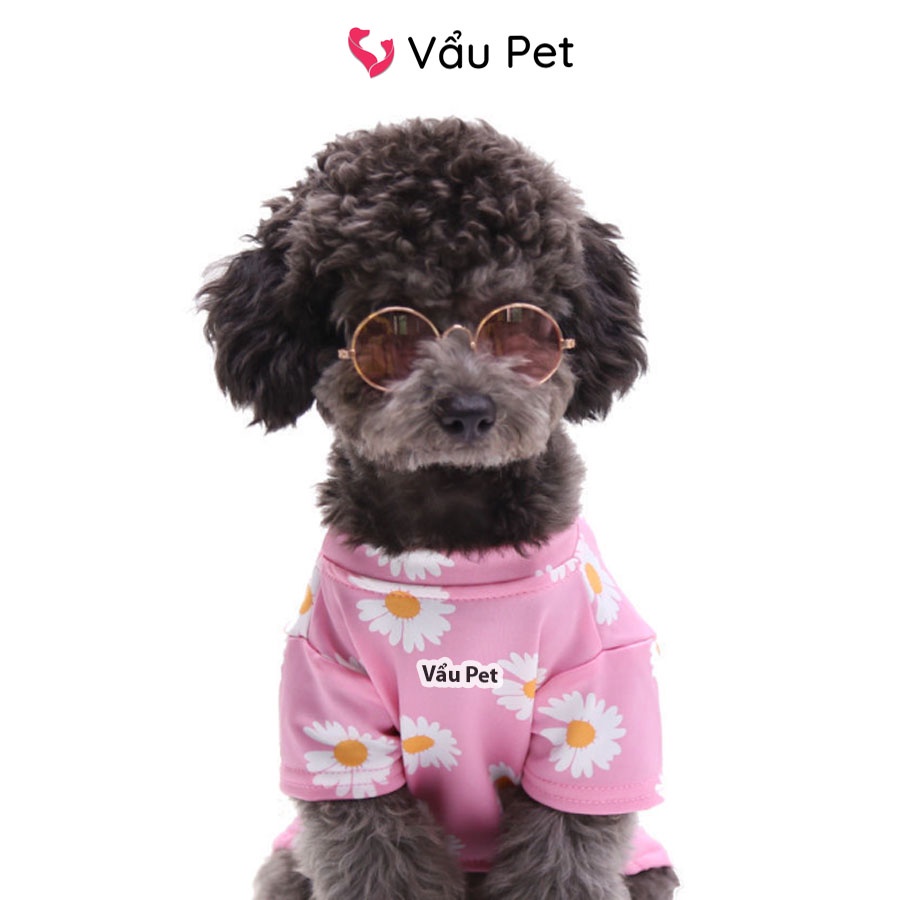 Kính Cho Chó Mèo Thời Trang - Đạo Cụ Chụp Hình Chó Mèo Thú Cưng Vẩu Pet Shop