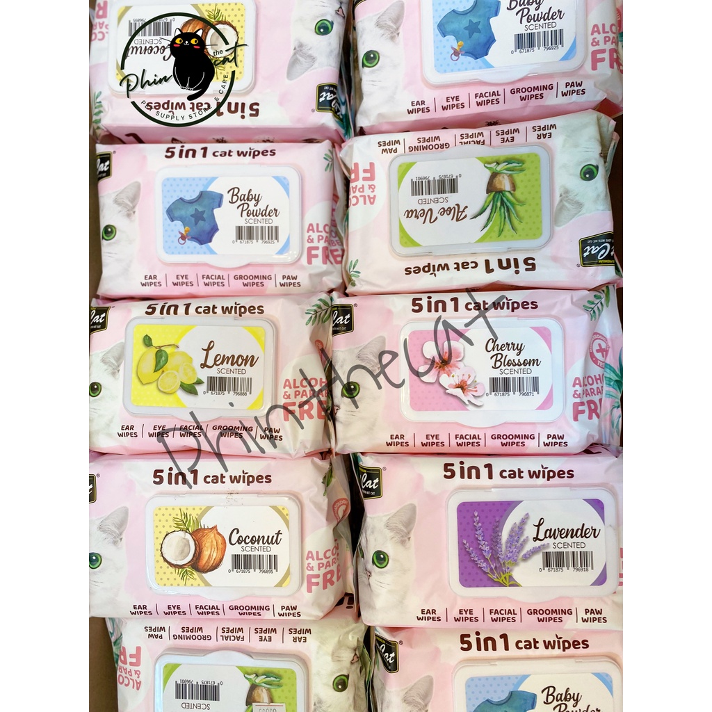 Khăn ướt cho mèo KIT CAT WIPES 5in1 - vệ sinh cho mèo - lau mặt tay chân - Hộp 80 miếng | phinthecat