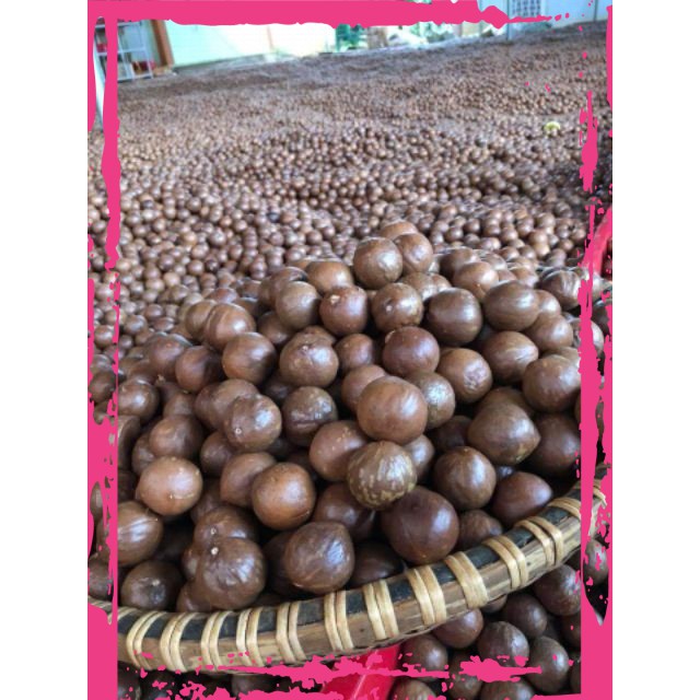 [Hàng cao cấp]# Hạt Măc ca sấy nứt Đăk Lăk Loai 1kg