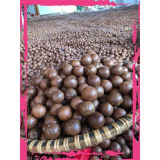 # hạt măc ca sấy nứt đăk lăk loai 1kg