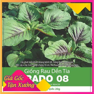Hạt Giống Rau Dền Tía Cao Sản 20gr