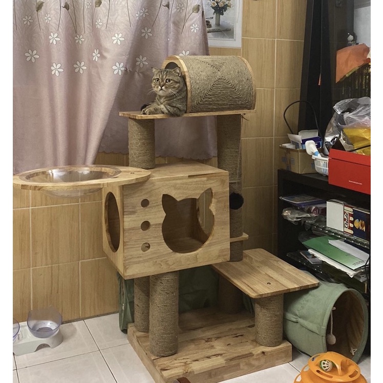 Nhà cây cho mèo
