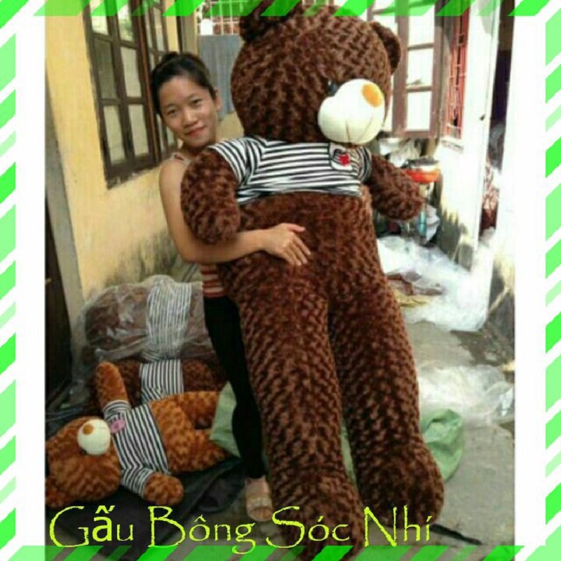 Gấu Bông Teddy Size 1m6 cao cấp siêu to khổng lồ 💥 FREESHIP 💥 Gấu Bông Sóc Nhí