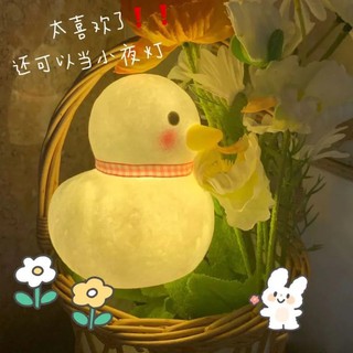 ĐÈN NGỦ VỊT CON 🐥