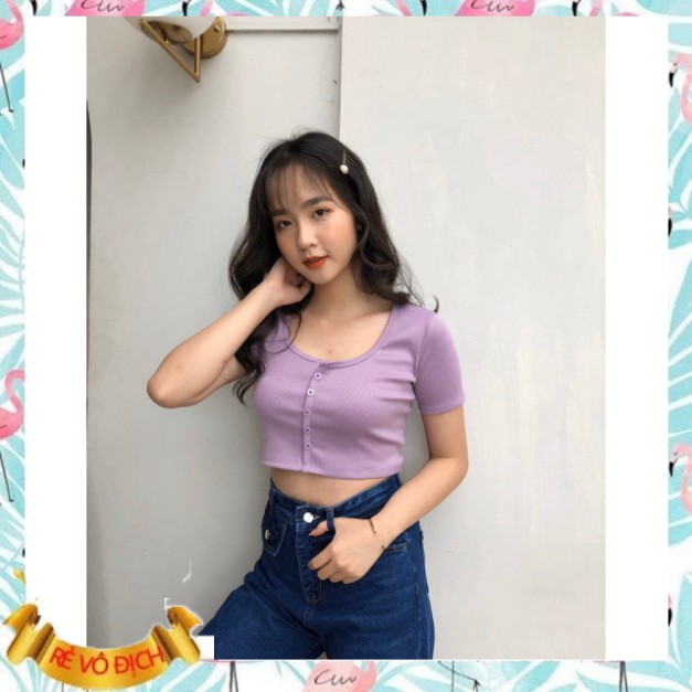 (mới) ÁO CROPTOP LEN TĂM CÚC DỌC 6 MÀU LOẠI MỚI - CROPTOP CÚC NGỰC TÍM XANH MINT HOT - mẫu mới