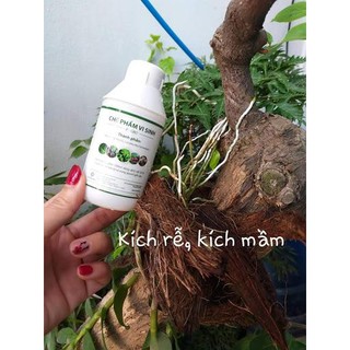 Chế phẩm vi sinh từ đậu tương P-GRO giúp cải tạo đất trồng AN TOÀN CHO SỨC KHỎE