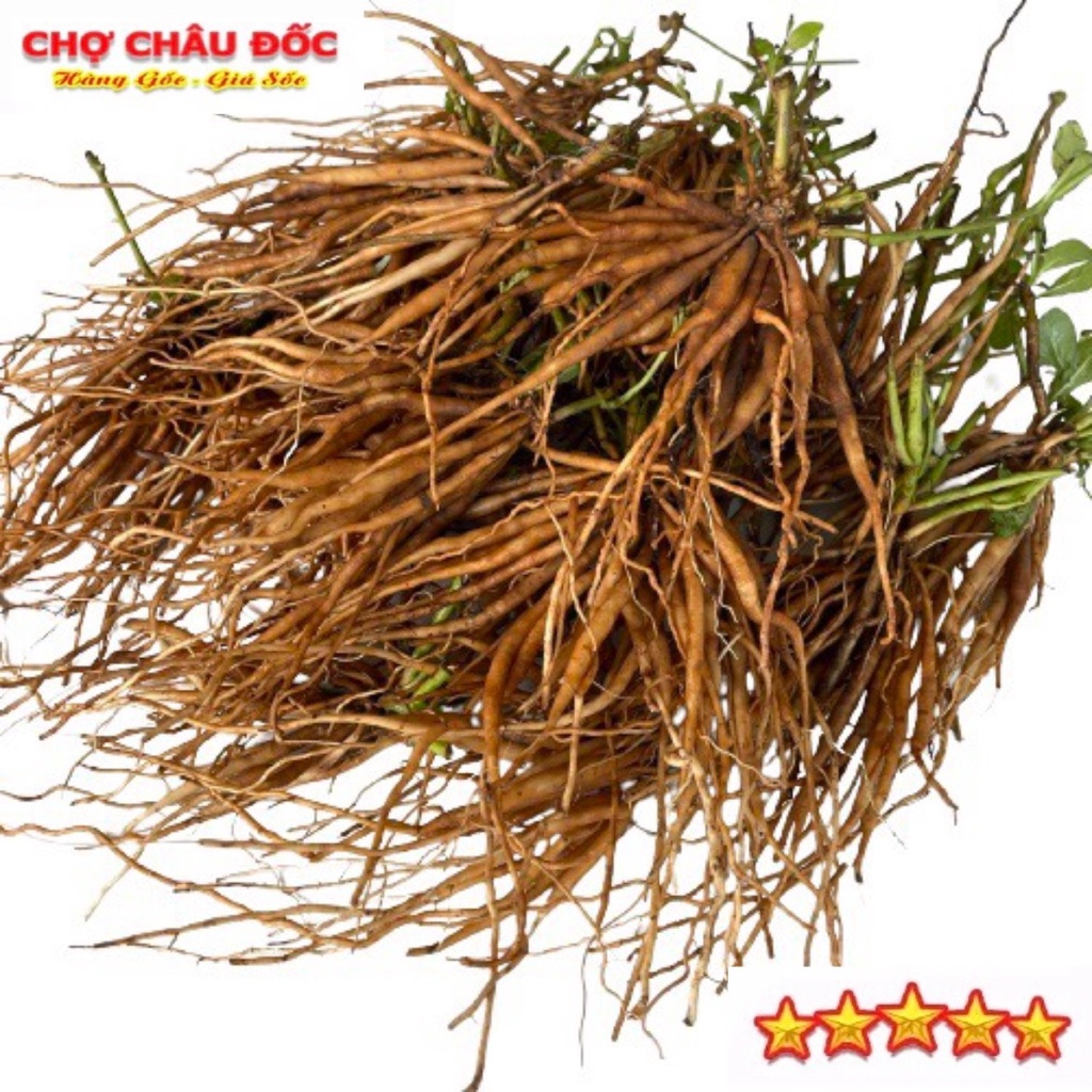 1 Kg Củ Sâm Đất Tươi Hay Cây Trái Nổ Dùng Nấu Nướng Uống