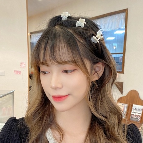 Kẹp Gắp Tóc Mini Bằng Nhựa Bắt Tóc Kẹp Mái Phong Cách Hàn Quốc - Hadichi