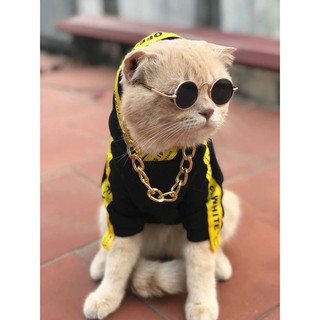 Kính râm và vòng cổ siêu cute cho chó mèo
