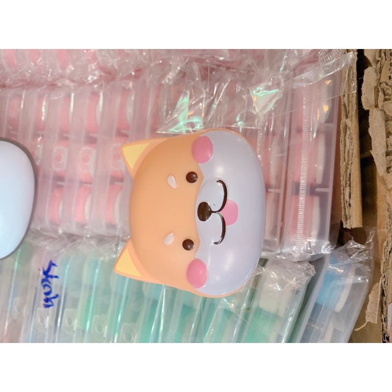 Khay đựng lens chó shiba