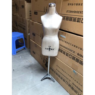 Manocanh Daiming thiết kế 1/2 tỉ lệ