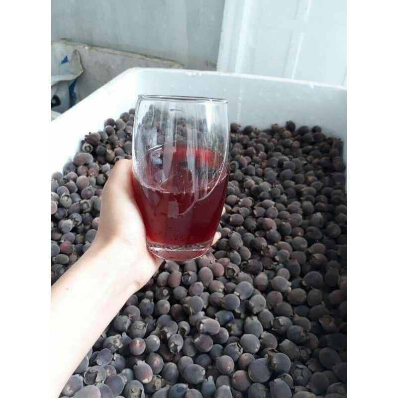 Sỉ giá gốc sim rừng khô 1kg