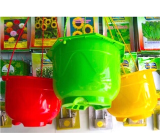 Combo 10 Chậu Nhựa Treo, chậu hoa treo ban công