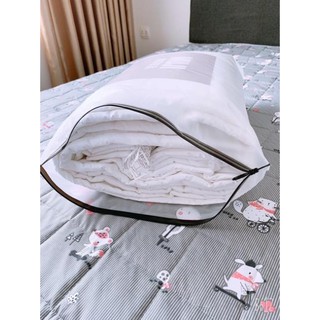 Ruột chăn hè Muji