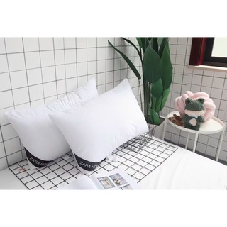 Ruột gối zara home
