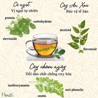 [Mẫu tặng] Trà chùm ngây túi lọc Moris