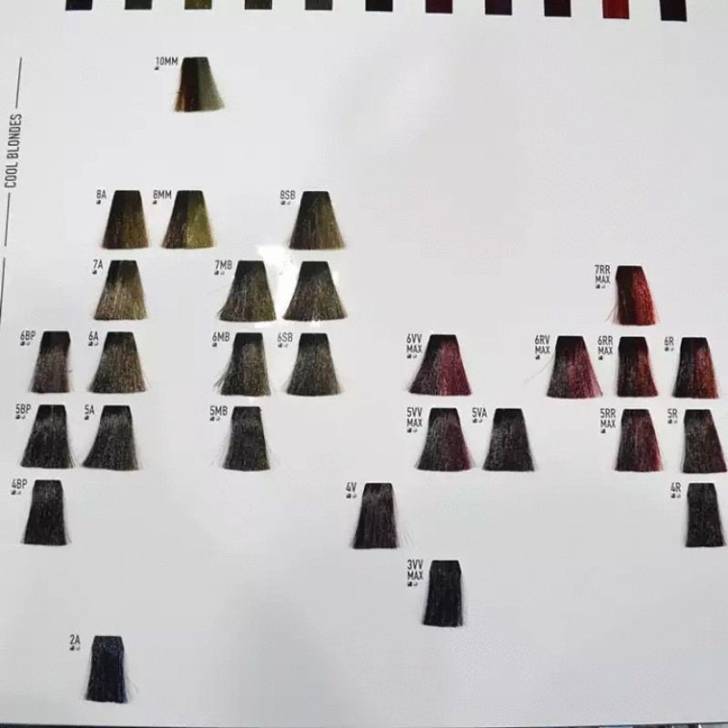 Màu nhuộm Goldwell Topchic 250gam