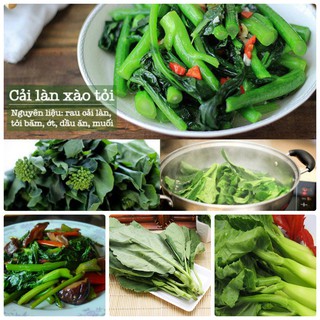 [GIÁ GỐC] Hạt giống rau Cải Làn Mập - 15 gram