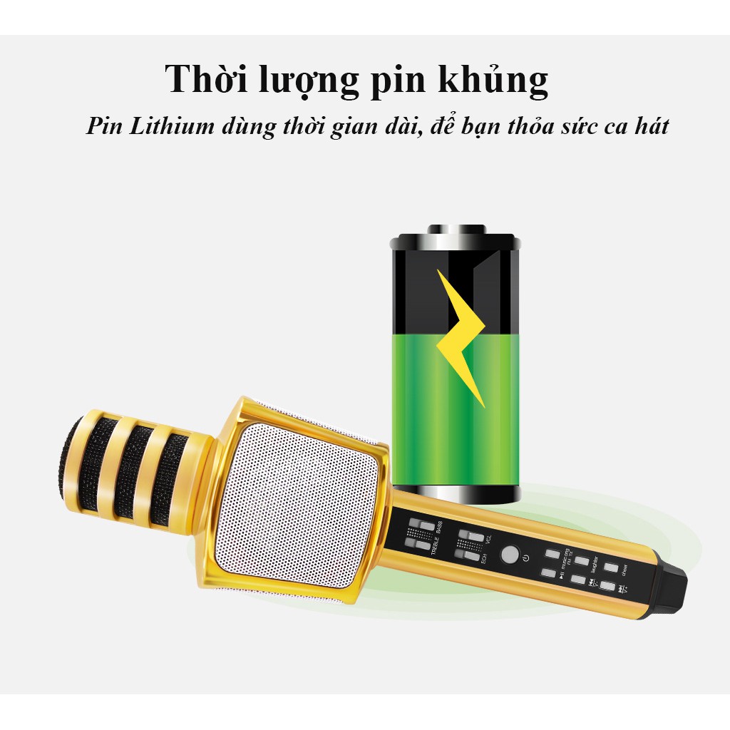 Top 5 Micro Karaoke Bluetooth Đáng Mua Nhất, SDRD SD-17 Micro Karaoke Tích Hợp Loa Bluetooth