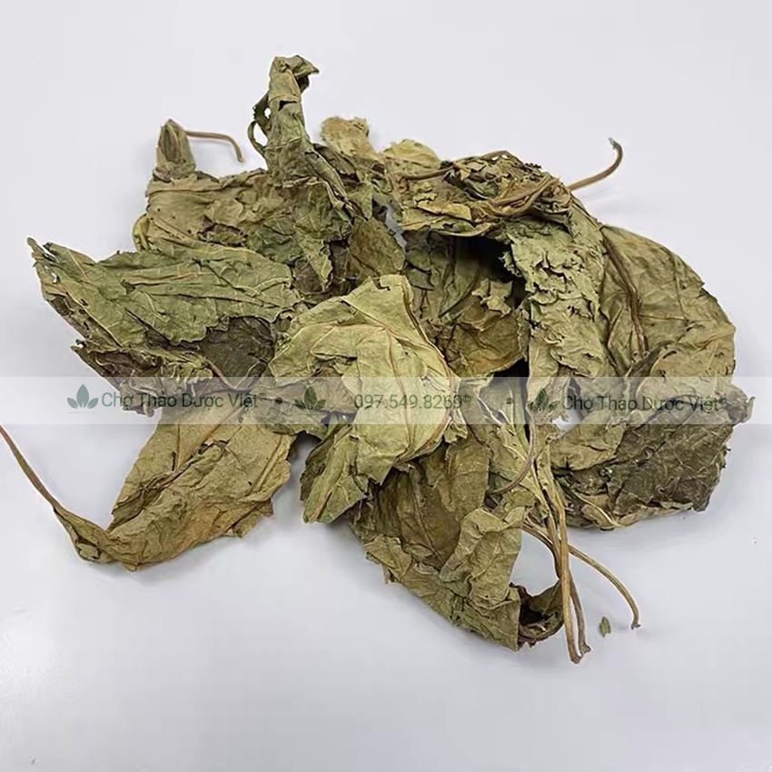 Lá dâu tằm khô 500g (Tang diệp)