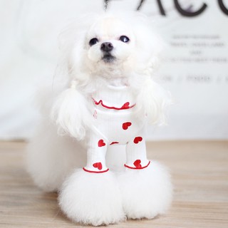 Áo lọ cho chó mèo