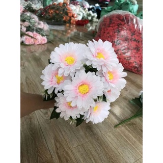 hoa giả - cúc vạn thọ
